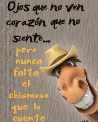 Pin By Rosy Garcia On Frases Cowboy Hats Floppy Hat Humor