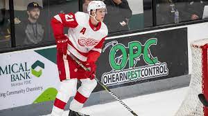 We did not find results for: By The Numbers Prospects Dennis Cholowski