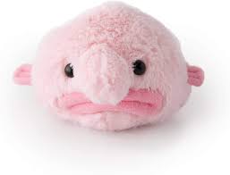 Best fish tacos in stamford : Buy Stuffed Blobfish Plush Mini Online In Vietnam B00q1hbfak