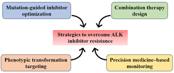 Image result for ALK Inhibitor