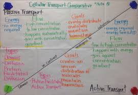 Biochemistry Tests For Food Macromolecules Biochemistry Final Review Sheet Properties Of Water Macromolecules Nitrogen Cycle Ecosystems Food Chains Populati Biology College Biology Notes Biochemistry
