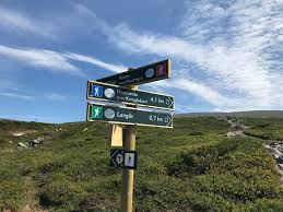 Høgevarde fjellpark provides onthesnow with cam feeds so skiers and riders can see what's happening before heading up. Fantastiskturglede Hogevarde 1459 Moh