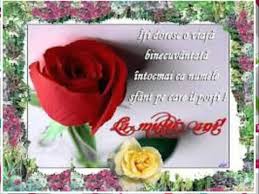 1 an, 18 ani, baloane folie mesaje, baloane folie set, botez, decoratiuni evenimente, nunta etichete: La Multi Ani De Ziua Ta Birthday Flowers Save