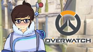 Overwatch In A Nutshell Overwatch In A Nutshell Paladin