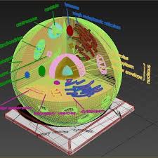 We did not find results for: Download Obj File Animal Cell 3d Print Template Cults