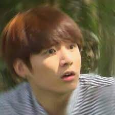 Bangtan Meme Oticons Jeon Shook Army S Amino See more ideas about memes, stupid memes, funny memes. bangtan meme oticons jeon shook army