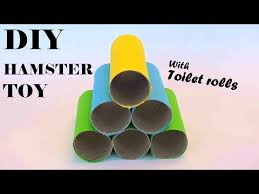 9 Items Your Hamster Needs For A Long And Happy Life - Pethelpful
