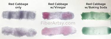 How To Make Natural Dyes From Food Fiberartsy Com