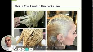 Levels simply refer to the darkness or lightness of a particular hair color. How To Bleach Hair Without Damage Ugly Duckling