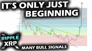 In a new tweet, the crypto analyst tells his 68,000 followers that ripple's native token has the potential to massively increase one's net worth in the coming years. All Signals Are Roaring Long Term Bullish On The Ripple Xrp Price Chart Youtube