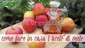 Cosa serve per fare l'aceto di vino. Come Autoprodurre In Casa L Aceto Di Mele Casa Organizzata