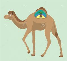 Camel humps actually contain large fat deposits that can serve as a source of water. Camel And The Island In A Hump Royalty Free Cliparts Vectors And Stock Illustration Image 15602001