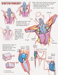 3 so backs aren't really my strong suit and i think the relaxed one is slightly out of proportion. Muscular Anatomy Notes From An Artist S Perspective Torso Posterior Anatomy Drawing Anatomy Reference Anatomy Sketches
