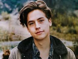 Você Sabe Tudo Sobre Cole Sprouse