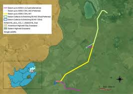 Image result for Linderniella wilmsii