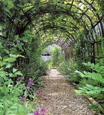 The traditional lattice detail supports climbing plants and flowers to provide a charming accent to any yard, garden, or pathway. Garden Arches Nurseries Online
