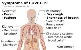 We hope this will help you in learning languages. File Symptoms Of Coronavirus Disease 2019 Png Wikimedia Commons