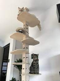 Pin On Contempocat Modern Cat Furniture