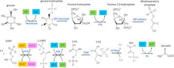Check spelling or type a new query. Retinal Energy Metabolism In Health And Glaucoma Sciencedirect