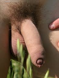 Фото члены висячие