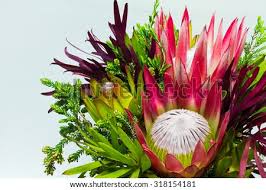 And the florists adore the original flowers of the flower. Shutterstock Puzzlepix