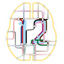 Se trata de la extensión del concepto de. Spm Software Statistical Parametric Mapping