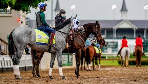 A fan displays her fancy hat while attending the 147th running of the kentucky derby on saturday in louisville. Qtxasojzgbadqm