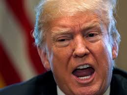 U.S. Faces Billions in Retaliation for Trump's Steel and Aluminum Tariffs  Each Year, Says Trade Expert