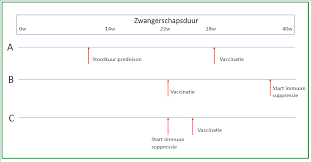 Iedereen van 18 tot 60 jaar met een medische indicatie krijgt nog deze week de brief thuis gestuurd. 22 Addendum Vaccinatie En Afweerstoornissen Rijksvaccinatieprogramma Nl