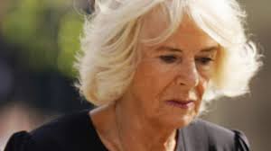 Queen Elizabeth death: Queen Consort Camilla 'in pain' after accident