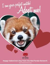 Valentine S Day Poetry Whales Are Blue Pandas Are Red Conserve Our Forests Eco Tourism Instead Panda Red Panda Valentines
