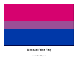 A rainbow flag is a multicolored flag consisting of the colors of the rainbow. Flag Of Bisexual Pride