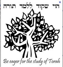 Torah The First 5 Books Of The Bible Genesis Exodus Leviticus Numbers And Deuteronomy Torah Books Of The Bible Strong Faith