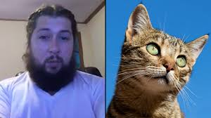 Try to search more transparent images related to cat face png |. Small Twitch Streamer Under Fire For Blowing Smoke Into Cat S Face Dexerto