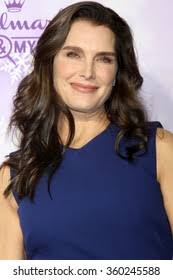 Los Angeles Jan 8 Brooke Shields Stock Photo 360245588