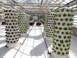Aponix Eu Vertical Modular Aeroponic Growing Aeroponic Barrel Indoor Farming Urban Farming Vertical Farming