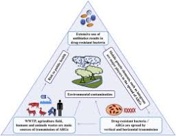 Dissemination Of Antibiotic Resistance Genes Args Via Integrons In Escherichia Coli A Risk To Human Health Sciencedirect