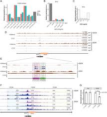 Controlling gene activation by enhancers through a drug-inducible  topological insulator