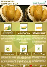 Durian duri hitam atau durian ochee merupakan salah satu varietas durian yang dikembangkan dan diunggulkan di malaysia selain durian musang king. 6 Keunggulan Durian Duri Hitam Bibit Buahku