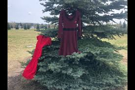 Red dresses outside the healing of the seven generations building on frederick street in kitchener to mark the national day of awareness for missing and murdered indigenous women and girls (may 5, 2021) erin anderson/kitchenertoday Mfmhuere34glnm