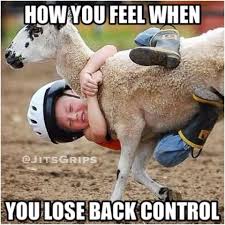 Martial Arts Humor Jiu Jitsu Memes Martial Arts Humor Bjj Humor