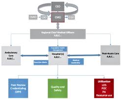 changing roles and skill sets for chief medical officers