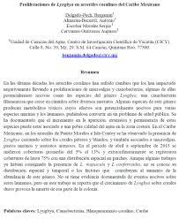 Modelos, plantillas y ejemplos de currículum vitae, resume, carta de presentación… modelos de resume. 5 Ejemplos De Resumen