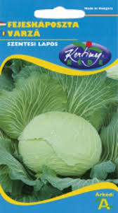 Image result for hlávková kapusta