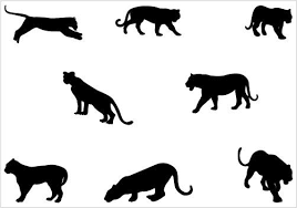Tiger Silhouette Vector Graphics Pack Tiger Silhouette Animal Silhouette Silhouette Clip Art