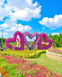 Cartes Postales World Best Shot Flower Garden Images Miracle Garden Studio Background Images