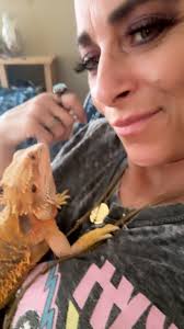 💕✨Watch me grow! A little peak into the progression of me! Our little blue  elf princess courtesy of Lana Glimmer Gem Lana LabroSphynx we couldn't be  happier or love her more than