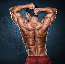 16 Best Trapezius Workouts Exercises For Traps Back Muscles