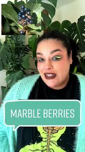 How to Find The Difference Between A Blueberry or A Poisonous Berry