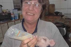 Márcia Becker é a proteção animal na Câmara de Gravataí